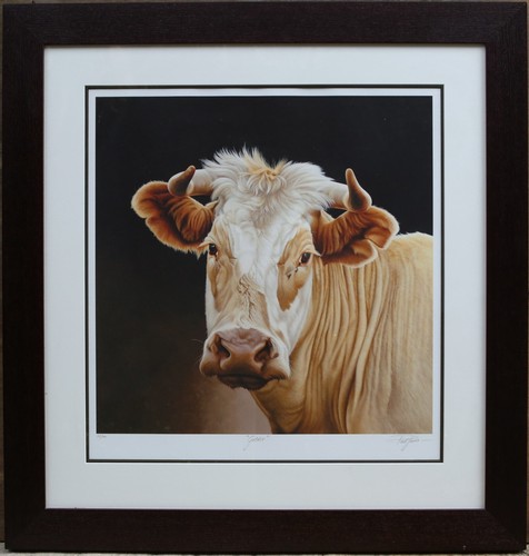 Paul james goldie cow - james, 'goldie'