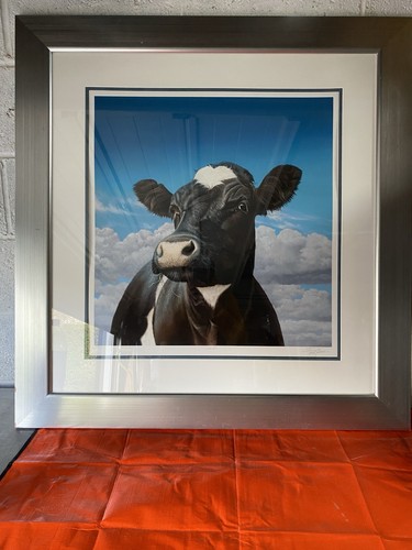 Paul james limited edition - james,